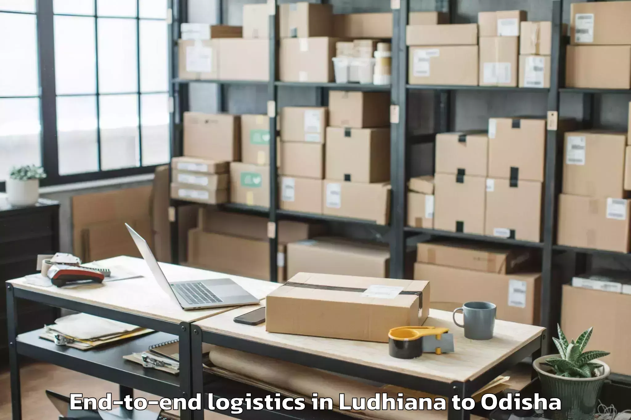 Book Ludhiana to Dasapalla End To End Logistics Online